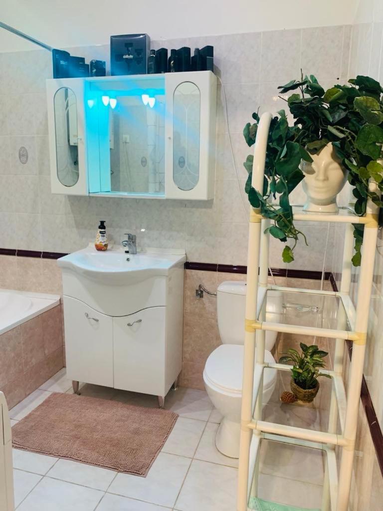 Guesthouse Miszi40 Budapeşte Dış mekan fotoğraf